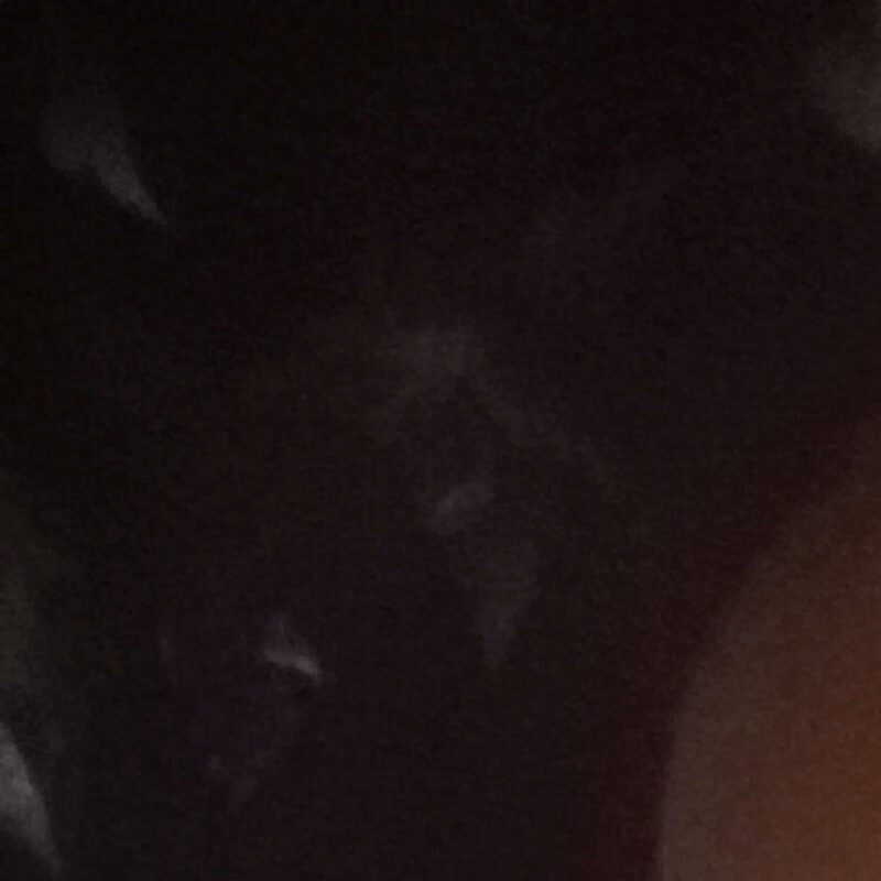 Profile picture of Wael